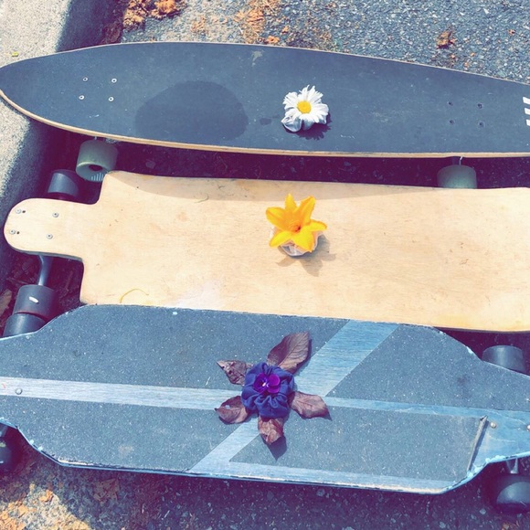 Meet your Posher, Ella - Picture 1 of 1